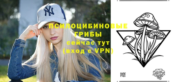 амф Абдулино