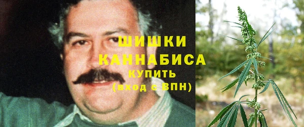амф Заводоуковск