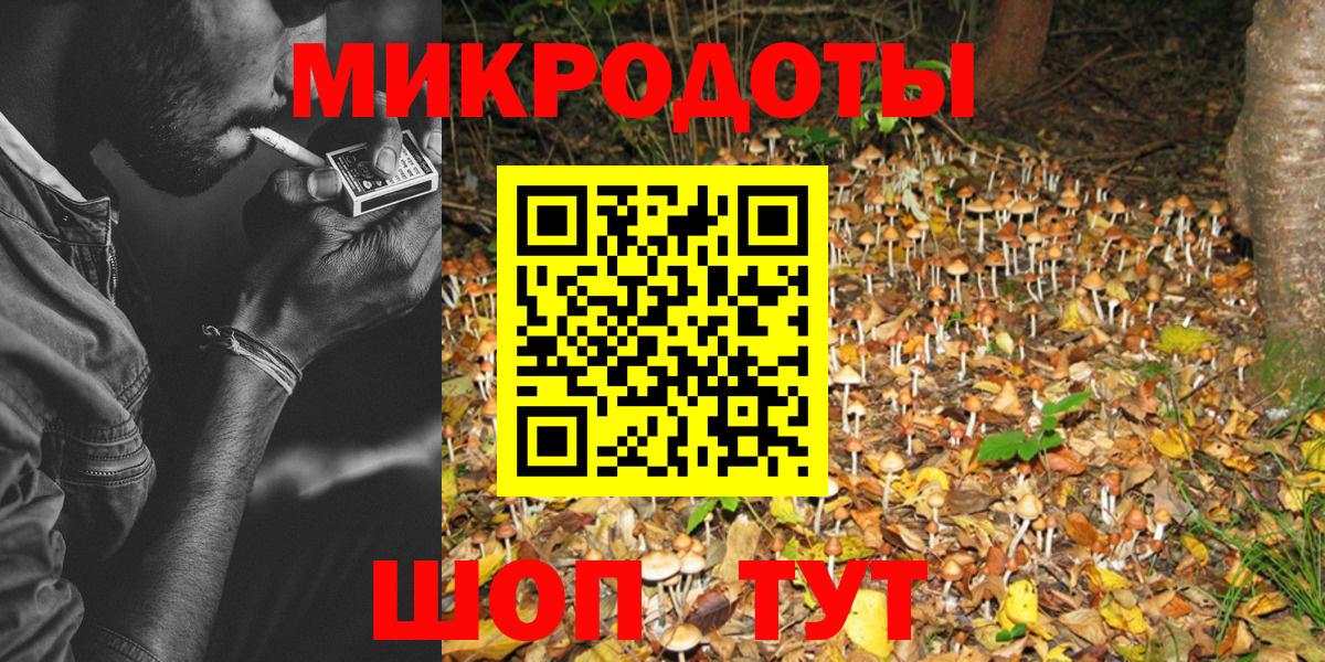 Галлюциногенные грибы Psilocybe  Вход с VPN  Нижневартовск  Галлюциногенные грибы мицелий 
